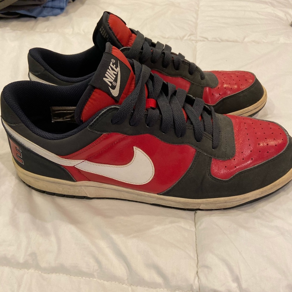 Nike Skateboarding Sneakers